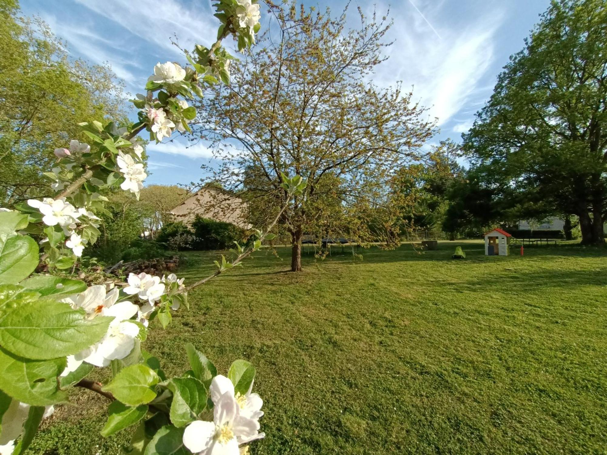 Gite Climatise Villa Esperanza 2 A 5 Personnes Valençay 외부 사진